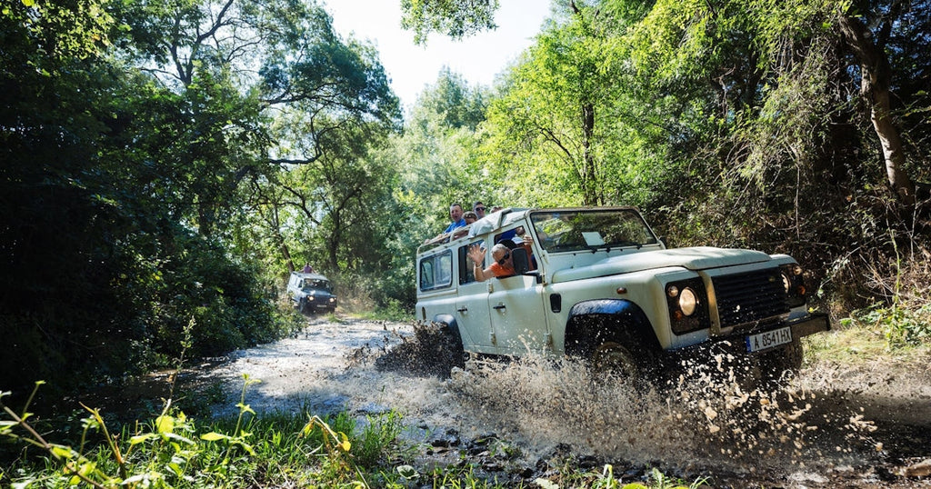 Bulgaria’s Wilderness Safaris: Vultures, Bears, and the Untamed Balkan Mountains