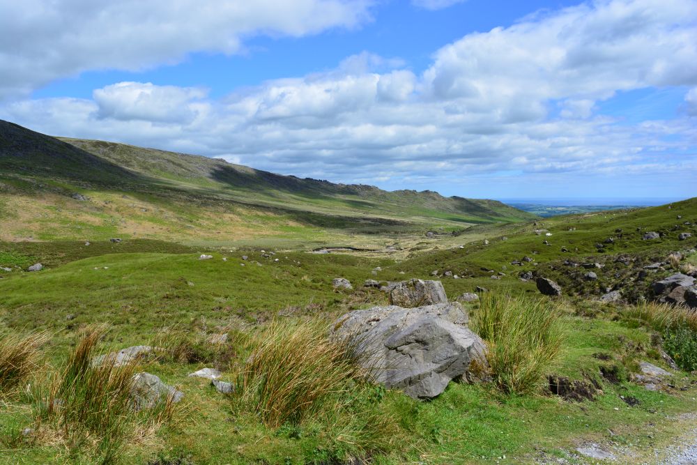 Modern Shooting in Northern Ireland: Conservation, Community & Style