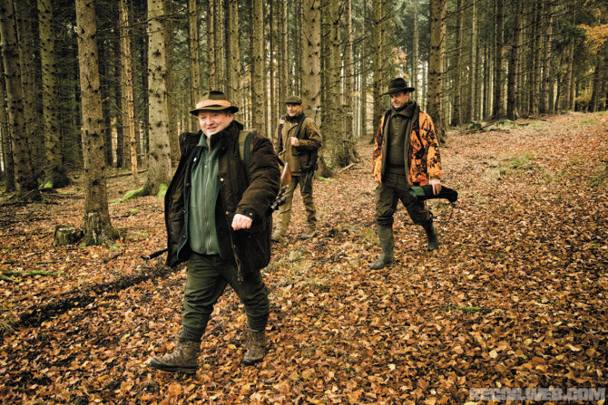 Forests and Conservation: Why German Hunting is More Than Sport