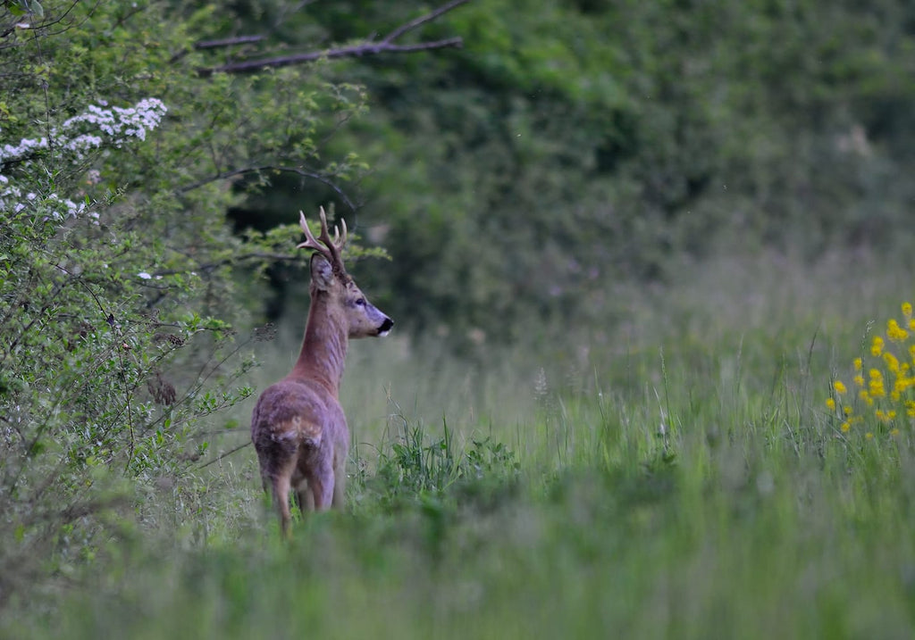 Italian Seasons Outdoors: Best Times for Hunting vs. Hiking