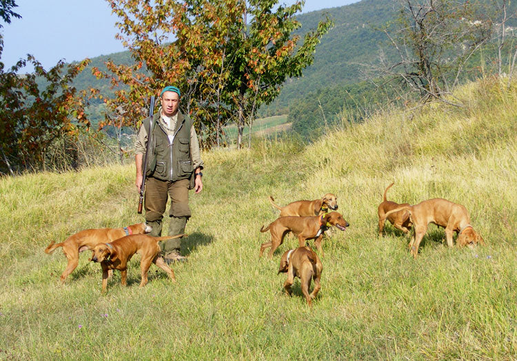 The Spirit of Italian Hunting: Mountains vs. Estates
