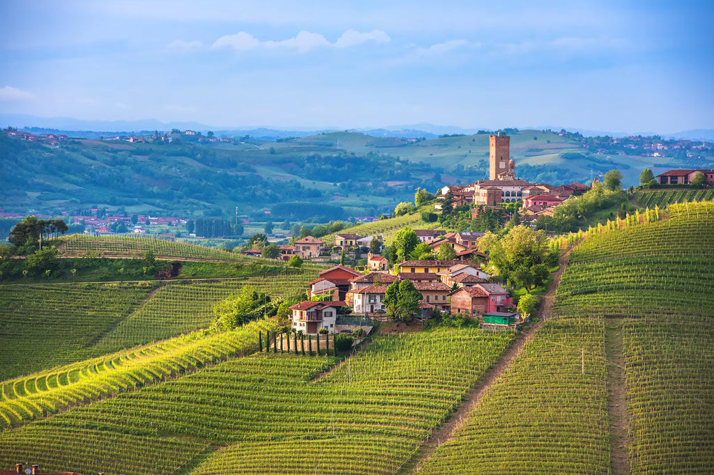 The Elegance of Shooting in Lombardy and Piedmont