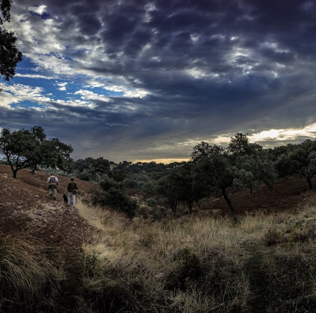Las Lomas Andalusia: Shooting Trip & Best Footwear