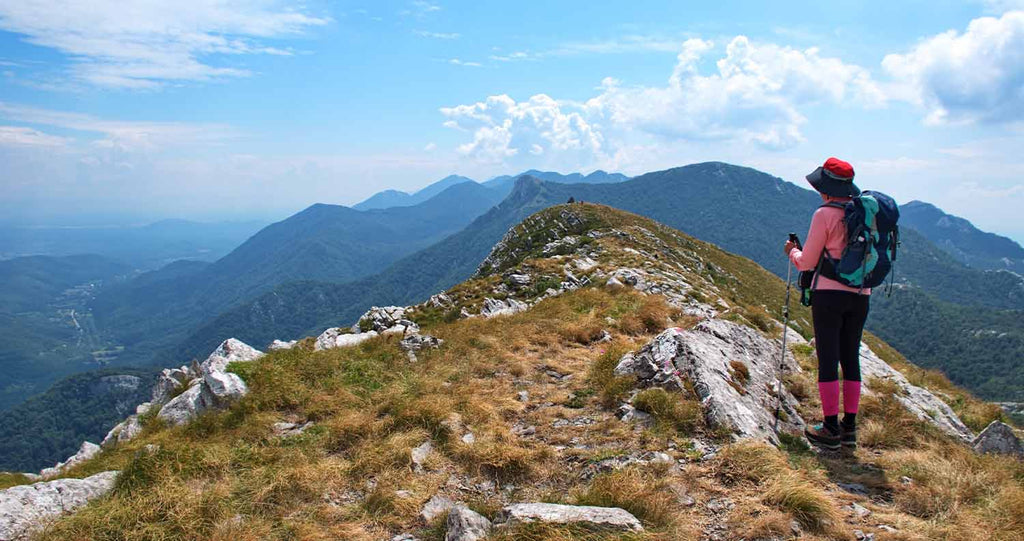 Croatia’s Wild Safaris: From Velebit’s Predators to Kopački Rit’s Wetlands