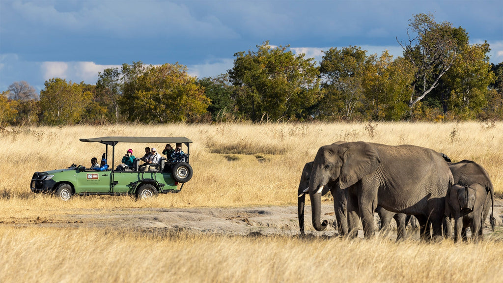 Safari Footwear for Hwange National Park : Choosing the right boots for Zimbabwe's Wilderness